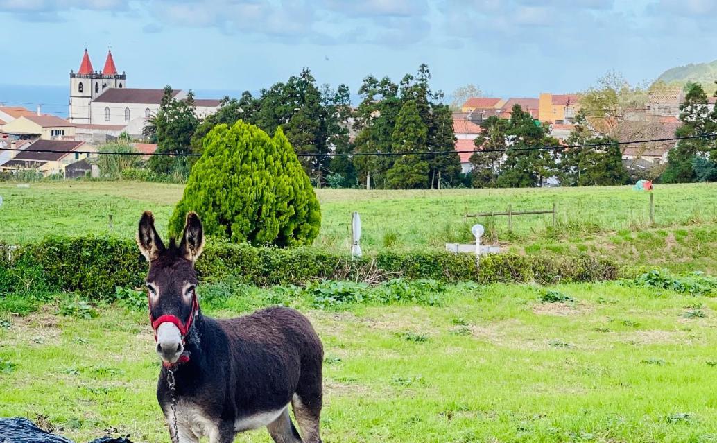 Quinta Do Avo Dimas - Rural Home - Sao Bras Porto Formoso Экстерьер фото