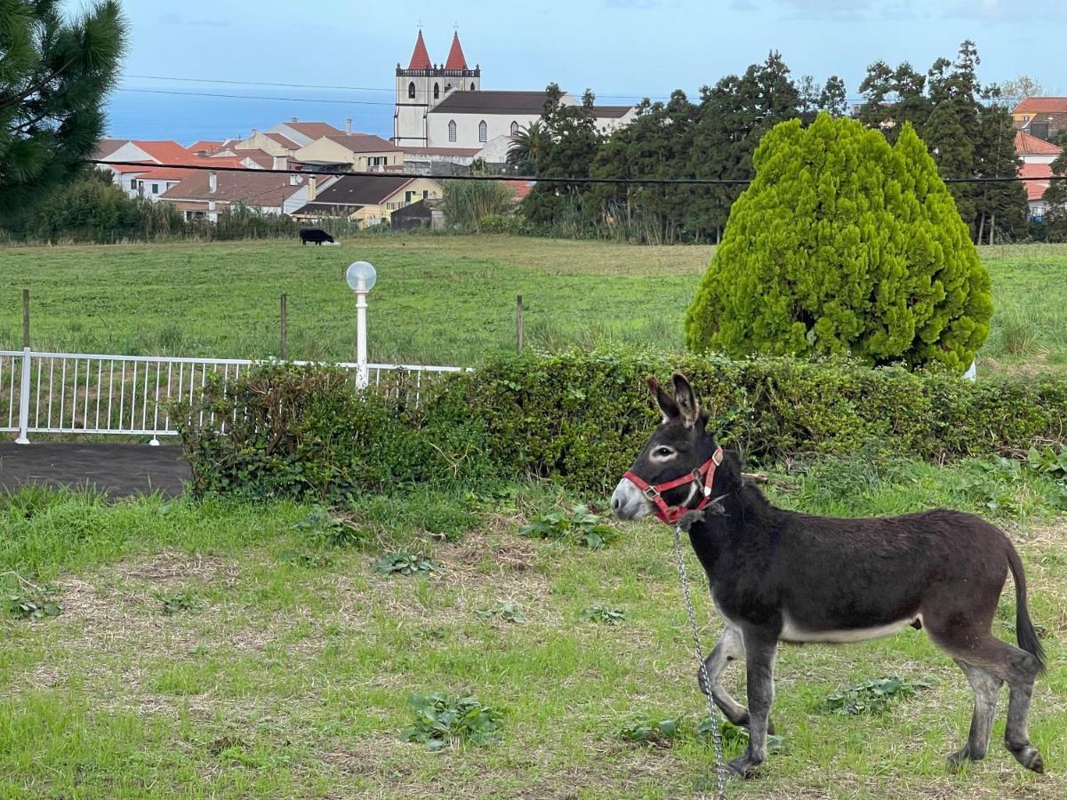 Quinta Do Avo Dimas - Rural Home - Sao Bras Porto Formoso Экстерьер фото